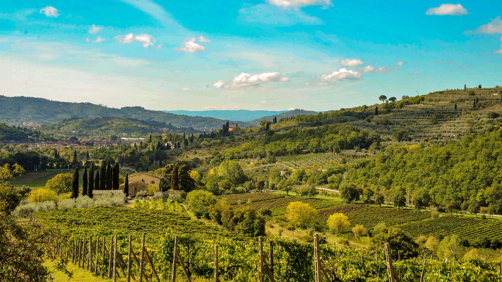 ヴェルドーネ ヴェルメンティーノ ディ トスカーナIGT［白］ – 柴田屋